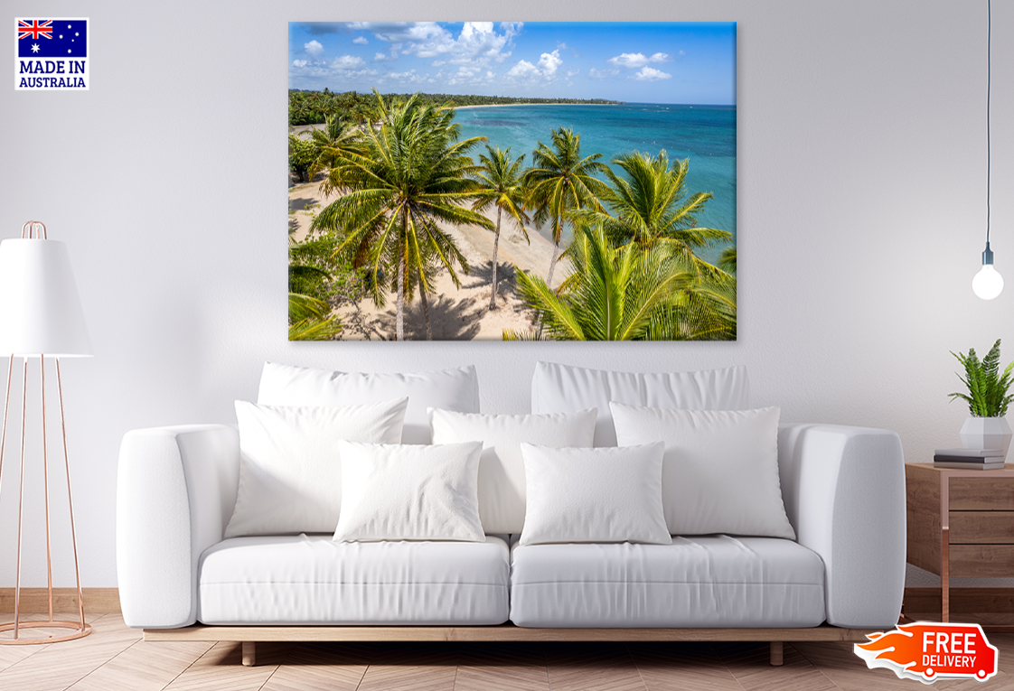 Palm Trees & Sea Aerial View Photograph Print 100% Australian Made