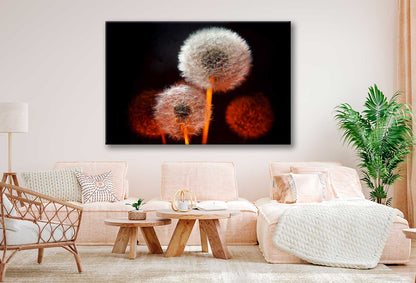 Bella Home Dandelion Flower With Red Backlight Print Canvas Ready to hang