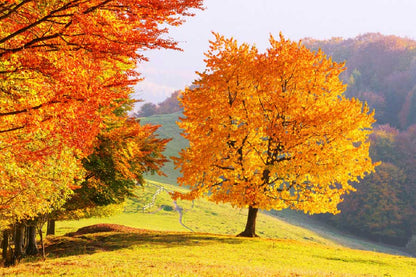 Bella Home Trees in Autumn Park & Hill View Print Canvas Ready to hang