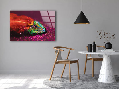 Waterdrop on Feather Photograph Acrylic Glass Print Tempered Glass Wall Art 100% Made in Australia Ready to Hang