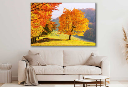 Bella Home Trees in Autumn Park & Hill View Print Canvas Ready to hang