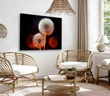 Bella Home Dandelion Flower With Red Backlight Print Canvas Ready to hang