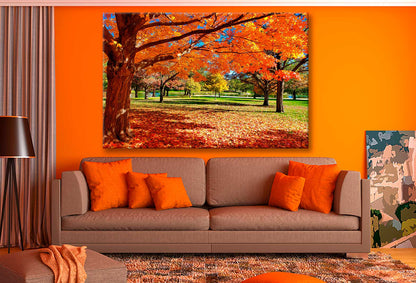 Bella Home Autumn Tree & Leaves With Park Print Canvas Ready to hang