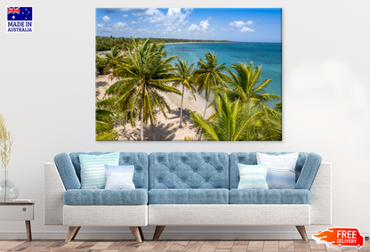 Palm Trees & Sea Aerial View Photograph Print 100% Australian Made