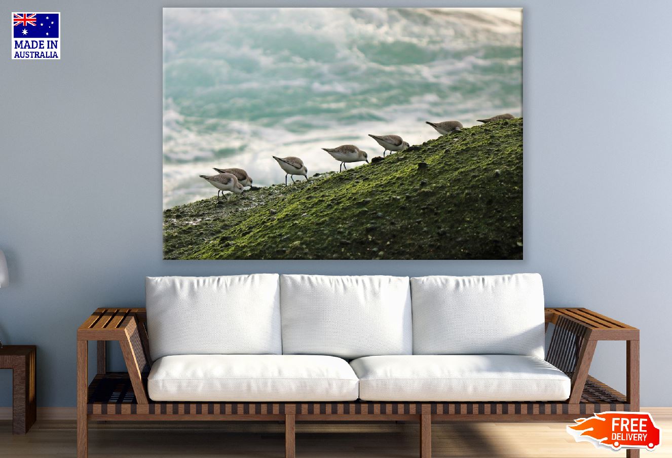 Seabirds on Sea Shore Photograph Print 100% Australian Made