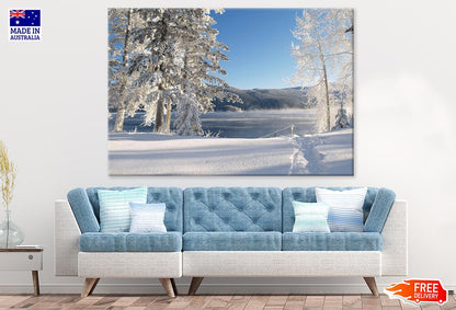 Snow Covered Trees Photograph Print 100% Australian Made