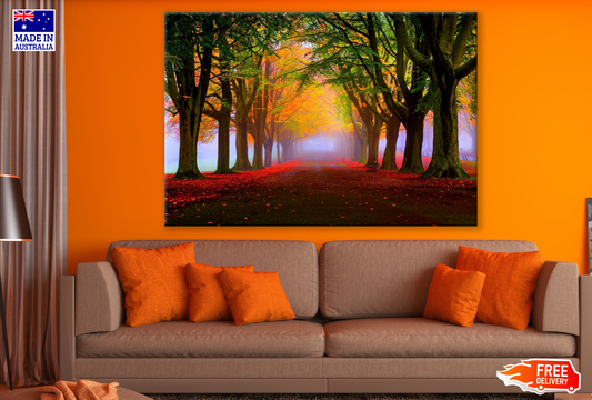 Autumn Flower Road with Trees Photograph Print 100% Australian Made