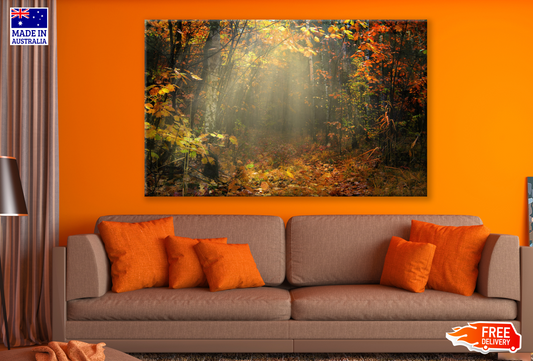 Forest Trees Autmn Leaves Falling Sunlight Print 100% Australian Made