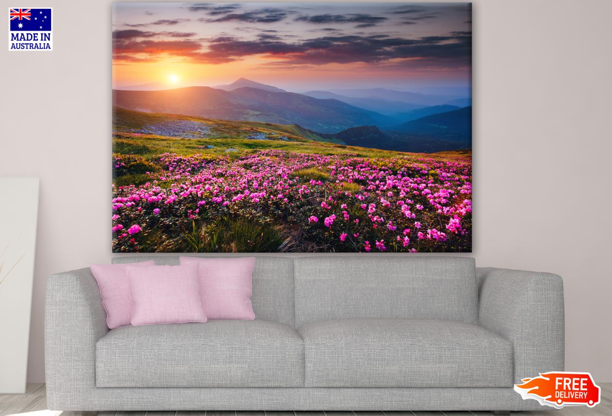 Pink Flower Field & Sunset View Photograph Print 100% Australian Made