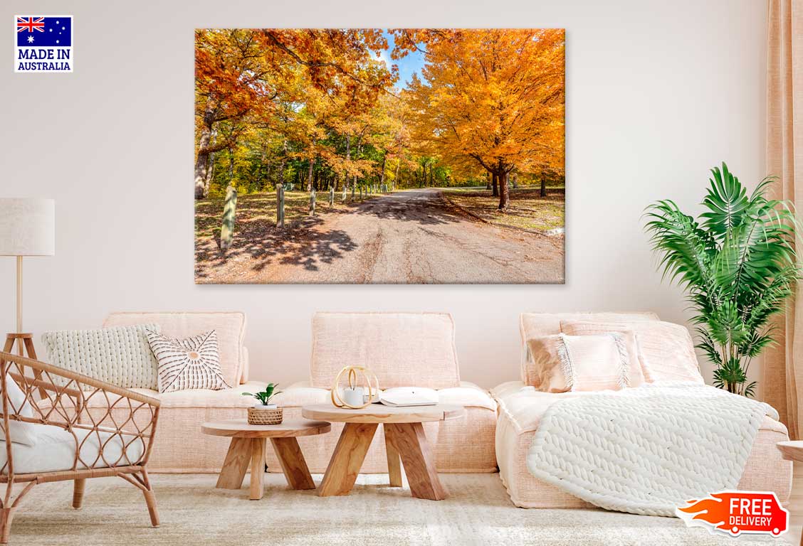 Autumn Trees & Path View Photograph Print 100% Australian Made