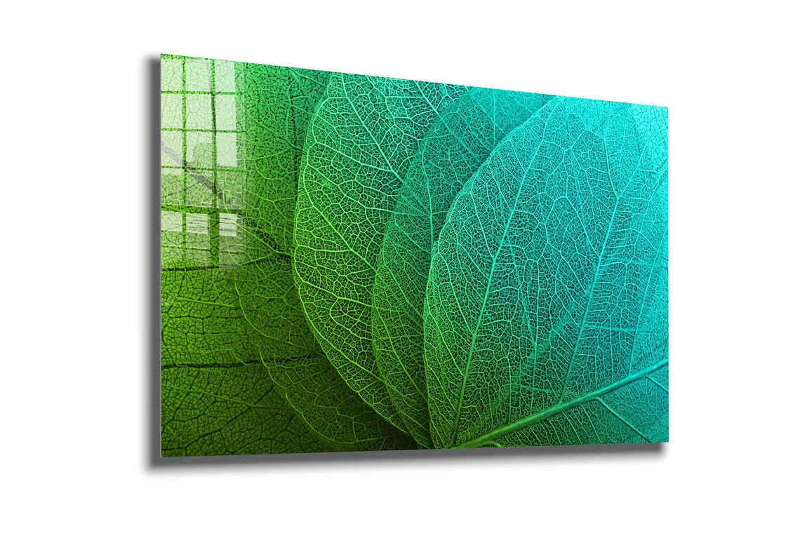 Green Xray Leaves View Print Tempered Glass Wall Art 100% Made in Australia Ready to Hang