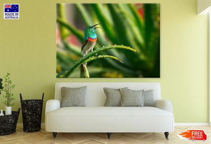 Green and Blue Bird on Green Plant Stem Photograph Print 100% Australian Made