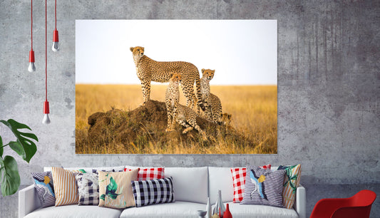 Cheetah animal Print 100% Australian Made