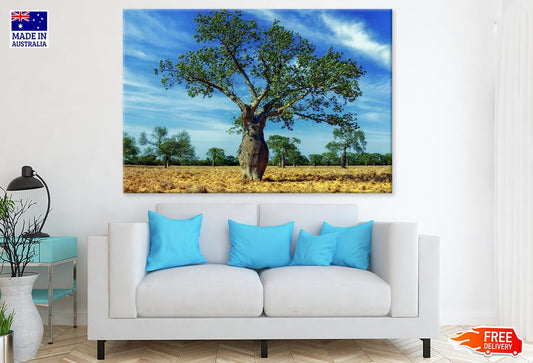 Huge Tree in Dry Ground Photograph Print 100% Australian Made