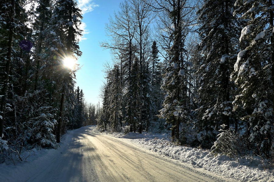 Snow Covered Forest & Road Photograph Print 100% Australian Made