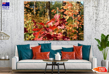 Red Orange Autumn Leaves Photograph Print 100% Australian Made