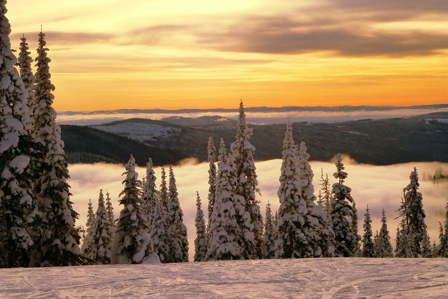 Snow Covered Trees & Mountain Sunset Photograph Print 100% Australian Made