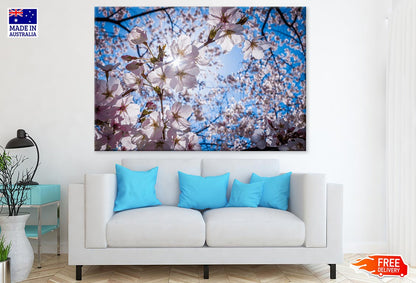 Blossom Flowers on Tree Closeup Photograph Print 100% Australian Made