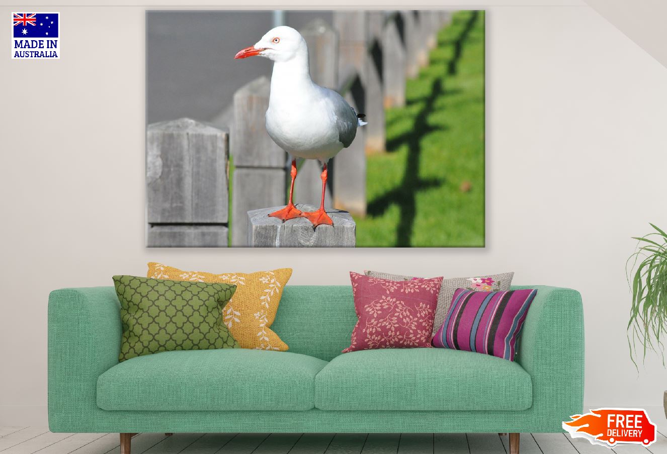 Seagull Bird Closeup Photograph Print 100% Australian Made