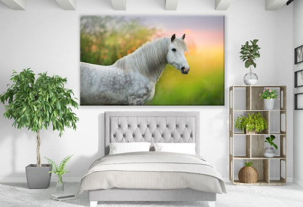 White Horse Portrait Sun set Print 100% Australian Made