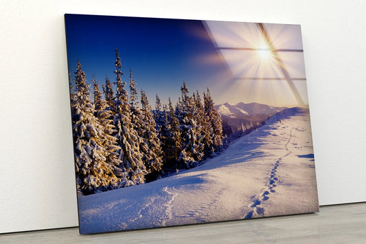 Snow Covered Pine Forest Photograph Acrylic Glass Print Tempered Glass Wall Art 100% Made in Australia Ready to Hang