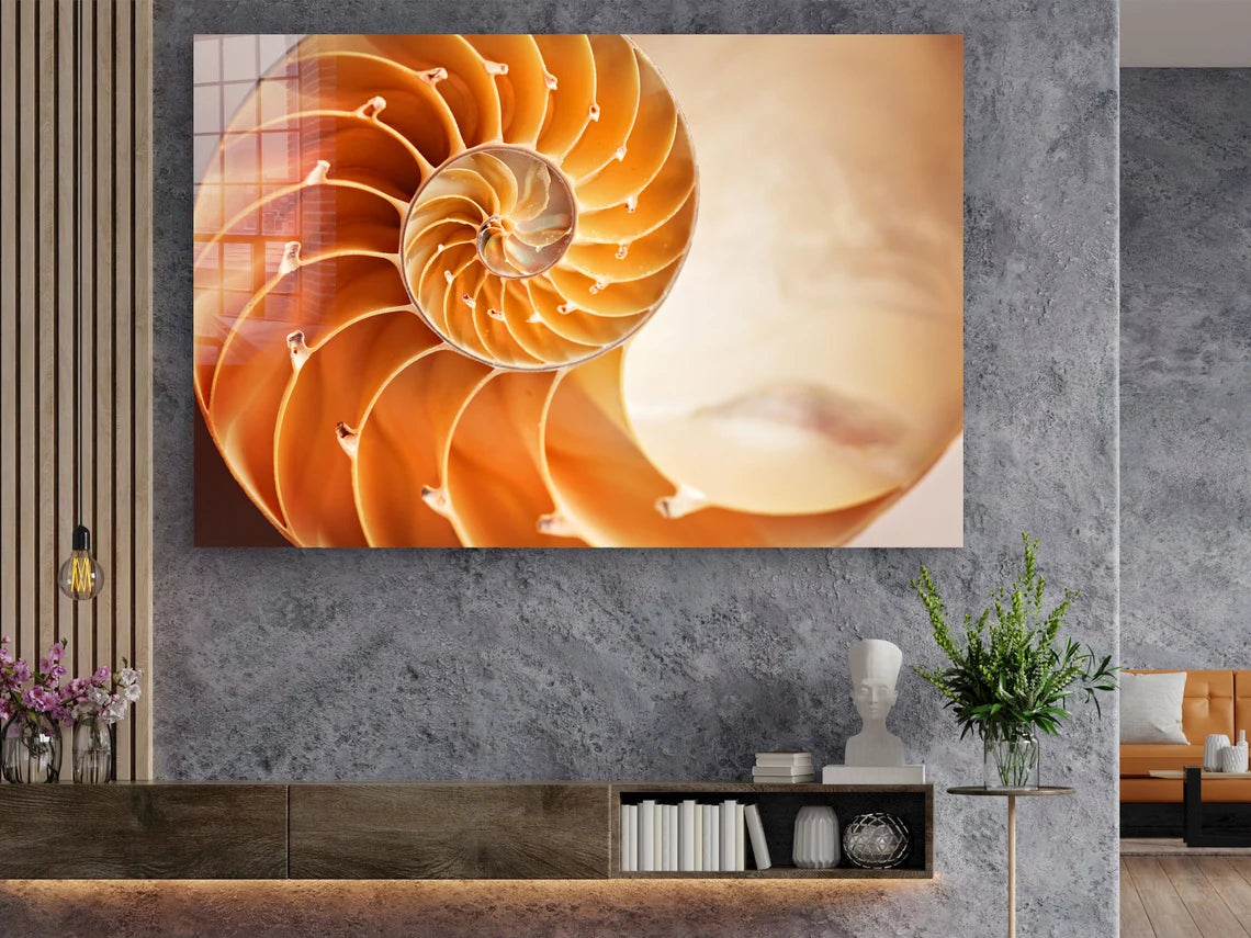 Golden Ratio Sea Shell Print Tempered Glass Wall Art 100% Made in Australia Ready to Hang