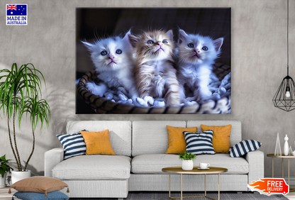 Cute Fluffy Kittens In a Basket Print 100% Australian Made