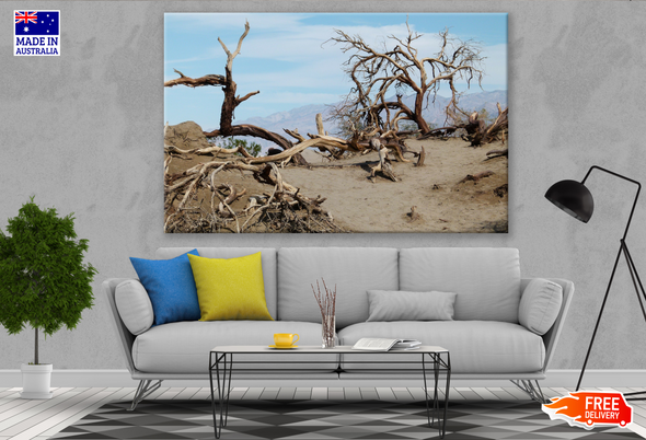 Death Trees in a Valley Landscape Photograph Print 100% Australian Made