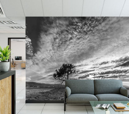 Wallpaper Murals Peel and Stick Removable Tree in a Meadow B&W High Quality