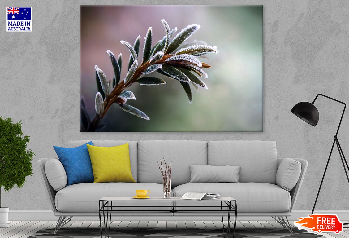 Frozen Plant Closup Photograph Print 100% Australian Made