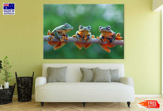 Frogs on Tree Branch Closeup View Photograph Print 100% Australian Made