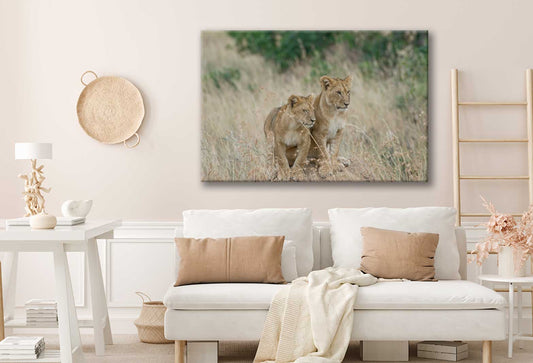 Bella Home A Pair Of Lion Cubs Sitting on A Mound Print Canvas Ready to hang