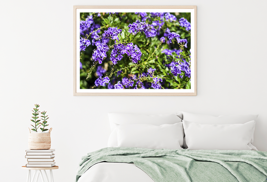 Purple Flowers Nature Plant View Photograph Home Decor Premium Quality Poster Print Choose Your Sizes