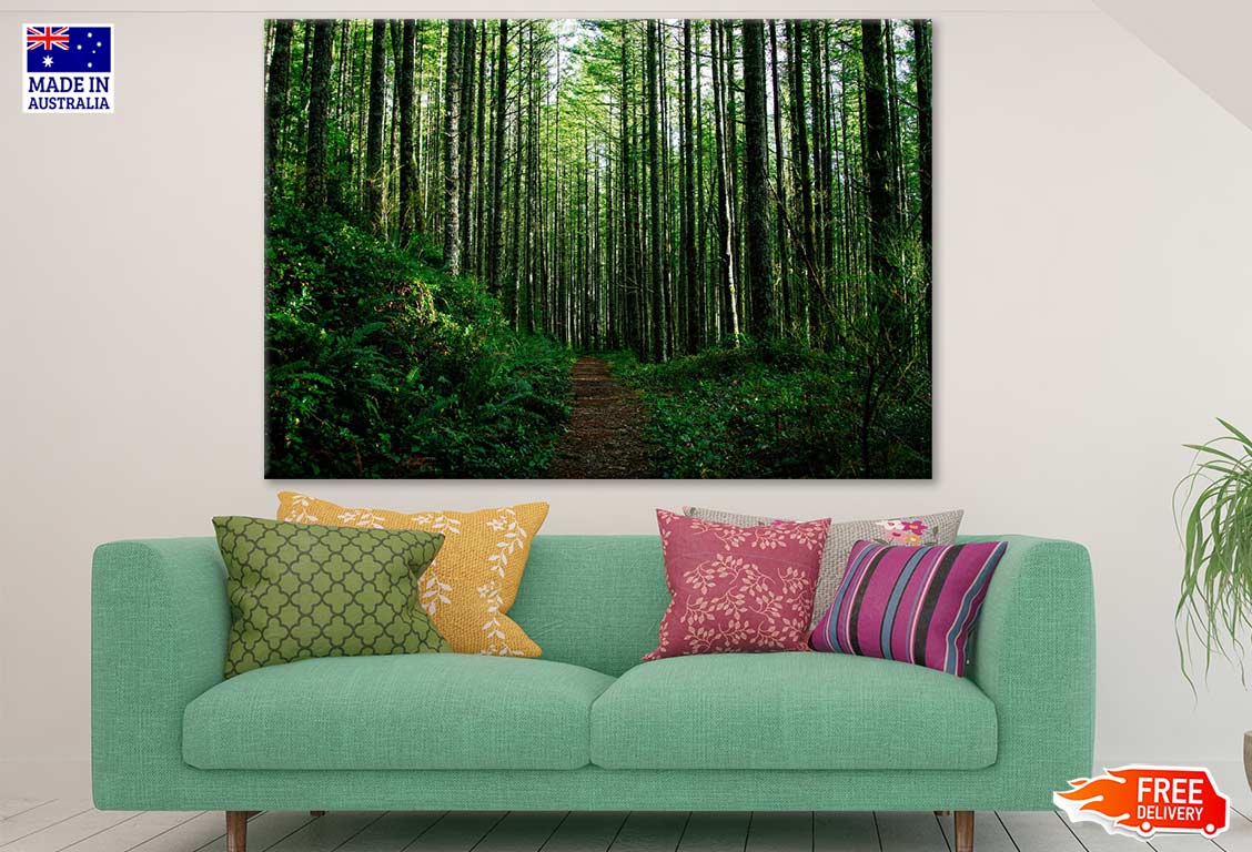 Tall Trees Forest Photograph Print 100% Australian Made