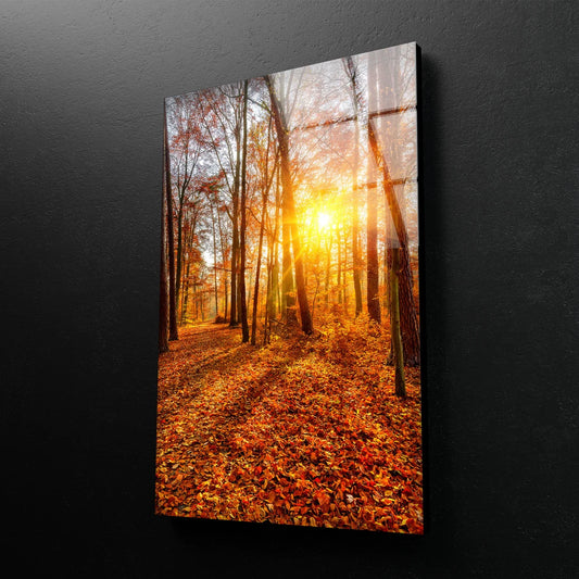 Sunrays in Forest Sunset Photograph Acrylic Glass Print Tempered Glass Wall Art 100% Made in Australia Ready to Hang