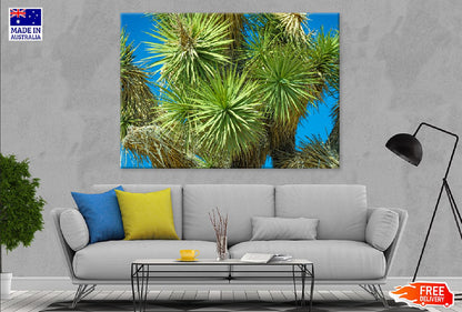 Spike Needles in Joshua Tree View Photograph Print 100% Australian Made