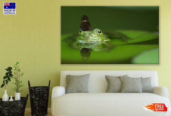 Butterfly On A Frog Photograph Print 100% Australian Made