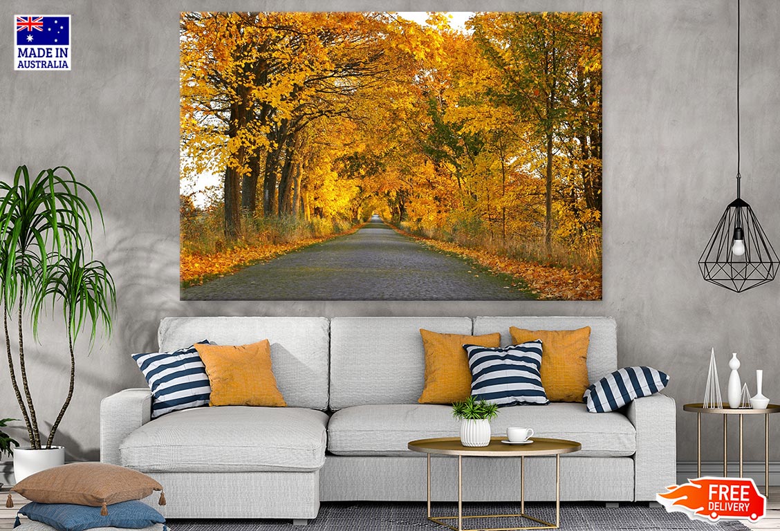 Road in Maple Tree Forest Photograph Print 100% Australian Made