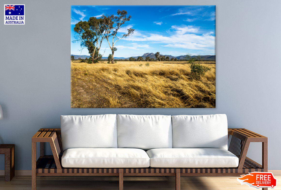 Tree & Sky View Photograph Print 100% Australian Made