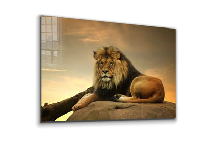 Lion on Rock Sunset Sky Print Tempered Glass Wall Art 100% Made in Australia Ready to Hang