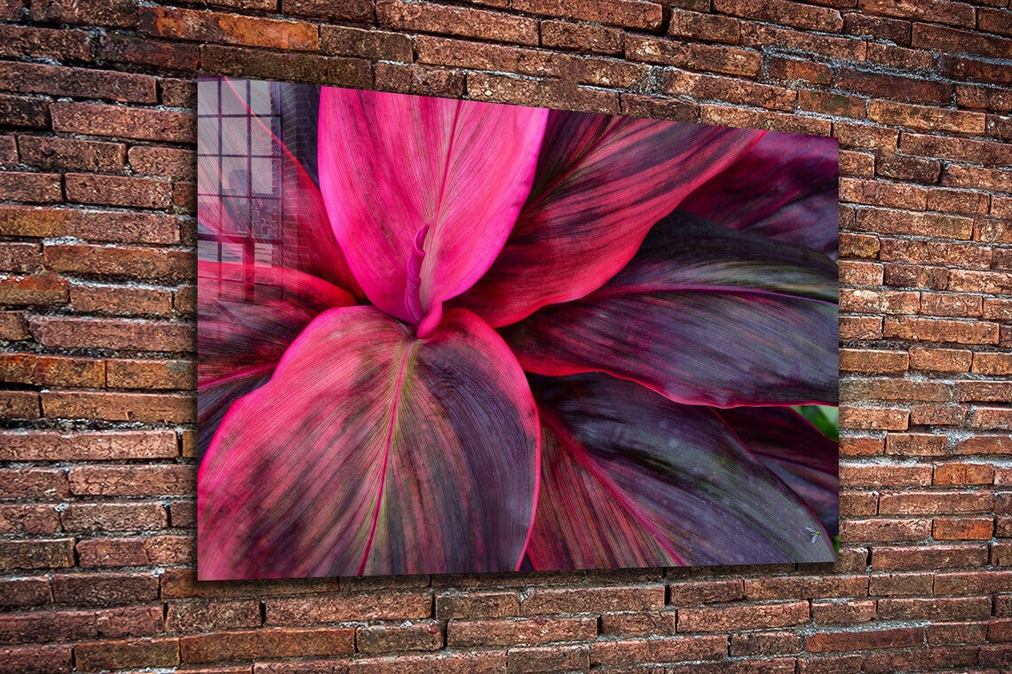 Purple Pink Leaves View Print Tempered Glass Wall Art 100% Made in Australia Ready to Hang