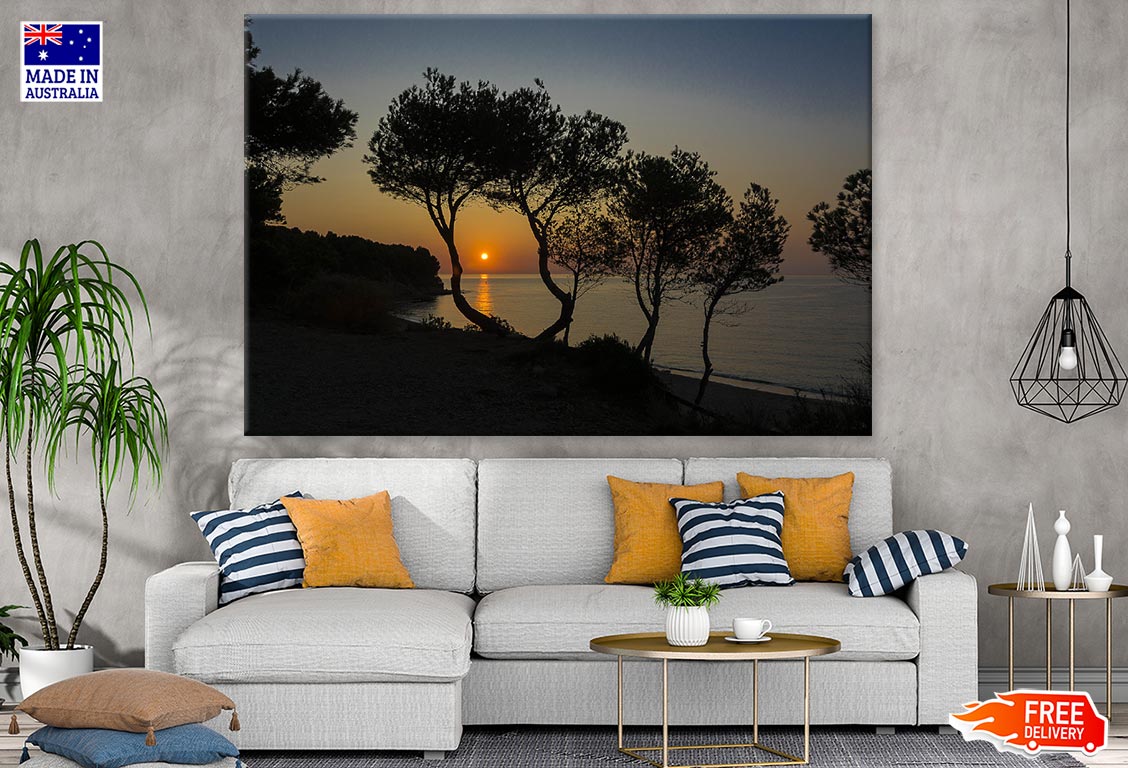 Trees Near Sea & Sunset Scenery Photograph Print 100% Australian Made