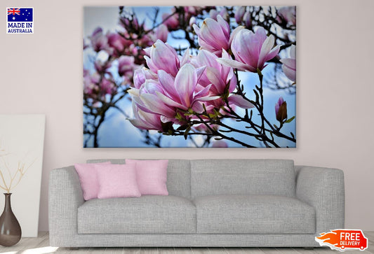 White Pink Magnolia Flowers Photograph Print 100% Australian Made