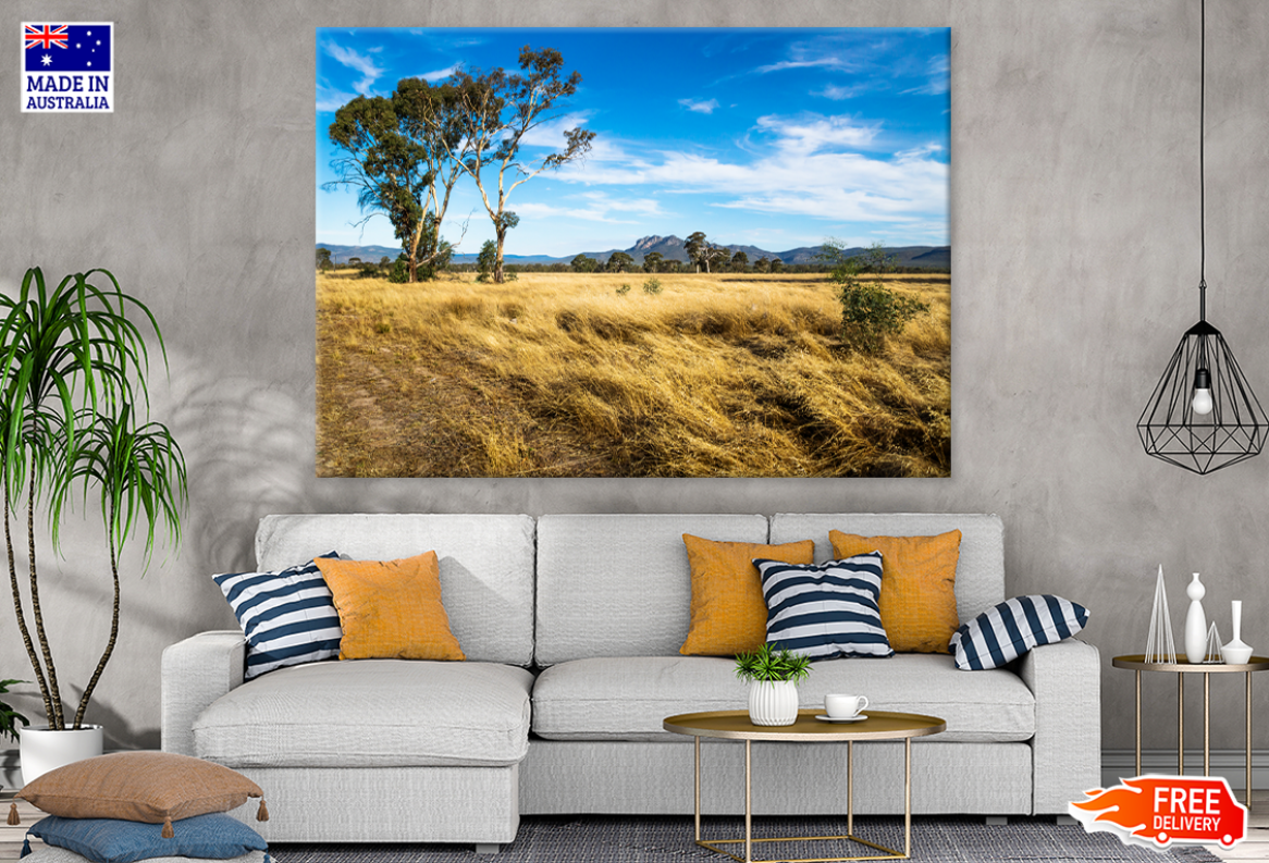 Tree & Sky View Photograph Print 100% Australian Made