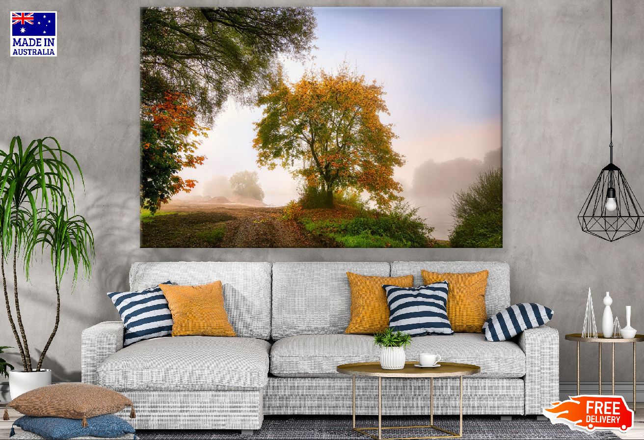 Autumn Trees on Pathway Photograph Print 100% Australian Made