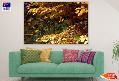 Yellow Leaves Tree Branch Photogaph Print 100% Australian Made