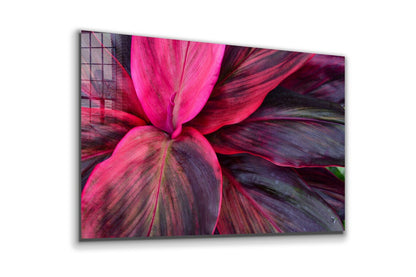 Purple Pink Leaves View Print Tempered Glass Wall Art 100% Made in Australia Ready to Hang