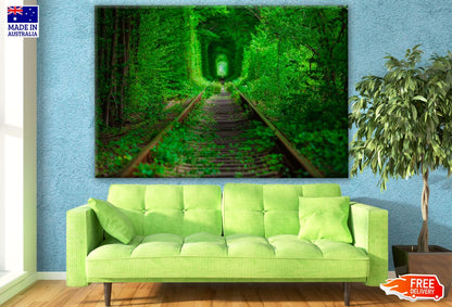 Rail Track Covered with Trees & Grass Photograph Print 100% Australian Made