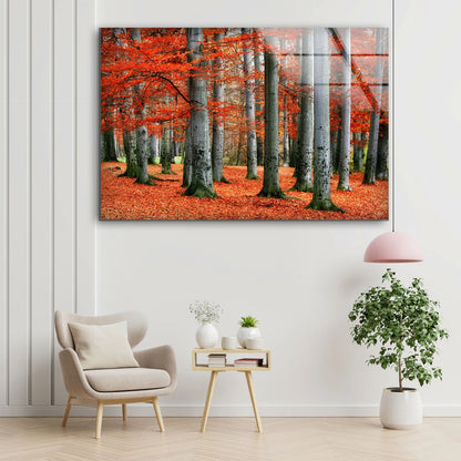 Red Leaves Tree Forest Photograph Acrylic Glass Print Tempered Glass Wall Art 100% Made in Australia Ready to Hang