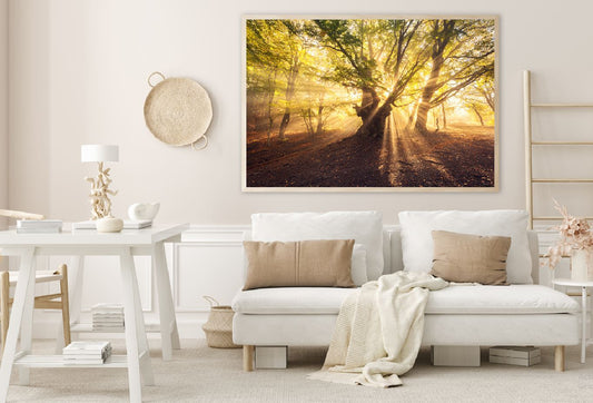 Old Tree with Sun Rays Scenery View Photograph Home Decor Premium Quality Poster Print Choose Your Sizes